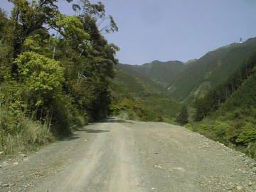 野川林道