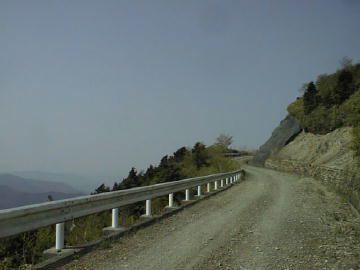 野川林道