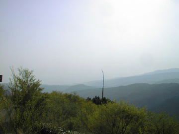 野川林道