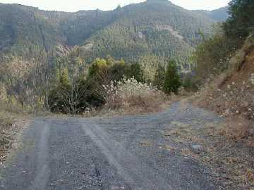 野川須川林道