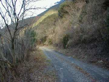 野川須川林道