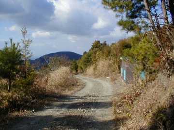 野川須川林道