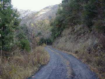 野川須川林道