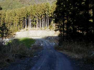 野川須川林道
