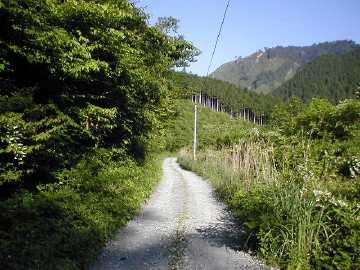 奥南川林道