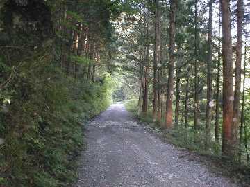 奥南川林道