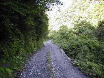 奥南川林道