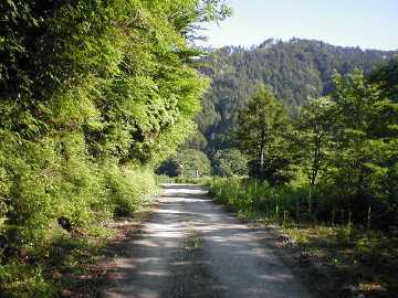 奥南川林道