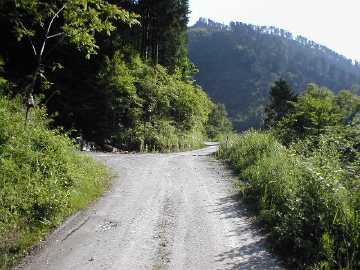 奥南川林道