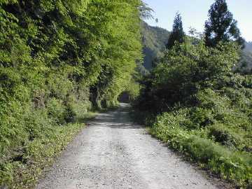 奥南川林道