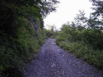 奥南川林道