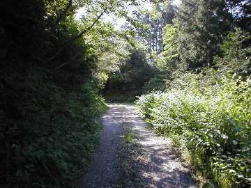 奥南川林道