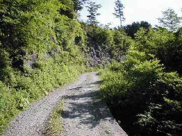 奥南川林道