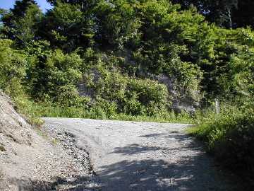 奥南川林道
