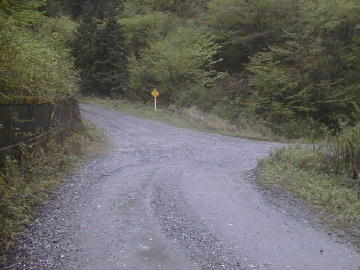 奥大野越・東谷大森川林道