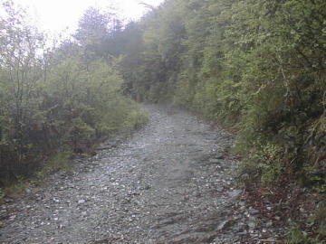 奥大野越・東谷大森川林道