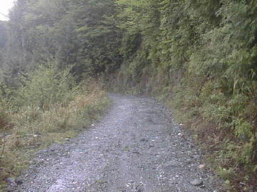 奥大野越・東谷大森川林道