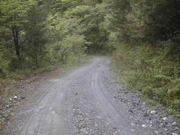 奥大野越・東谷大森川林道