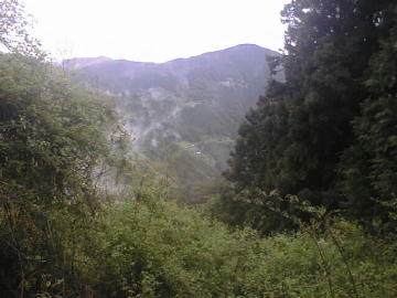 奥大野越・東谷大森川林道