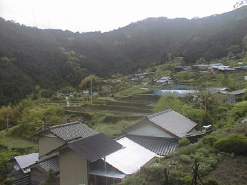 奥大野越・東谷大森川林道