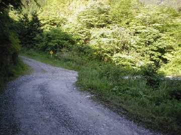 奥大野越・東谷大森川林道