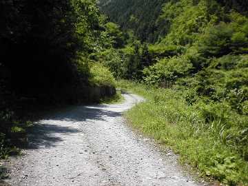 奥大野越・東谷大森川林道
