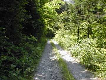 奥大野越・東谷大森川林道
