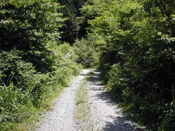 奥大野越・東谷大森川林道