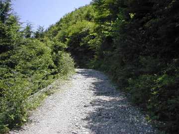 奥大野越・東谷大森川林道