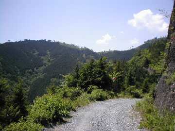 奥大野越・東谷大森川林道