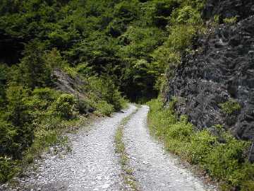 奥大野越・東谷大森川林道