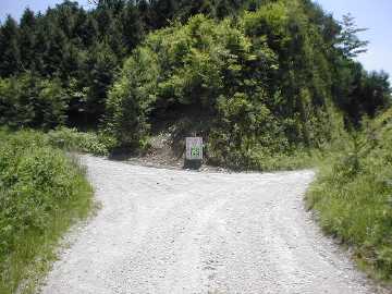 奥大野越・東谷大森川林道