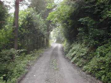 奥白髪林道