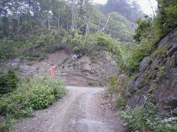 奥白髪林道