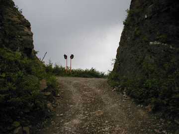 竜王林道