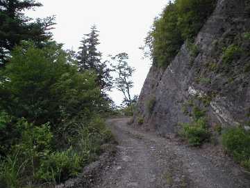 竜王林道