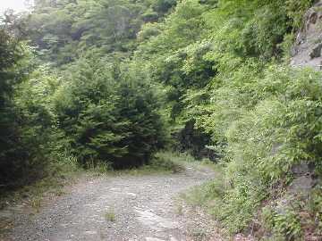 竜王林道