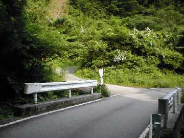 竜王林道