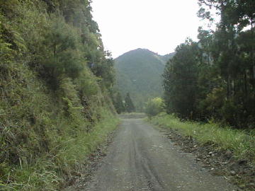猿押林道・奥栗一谷林道