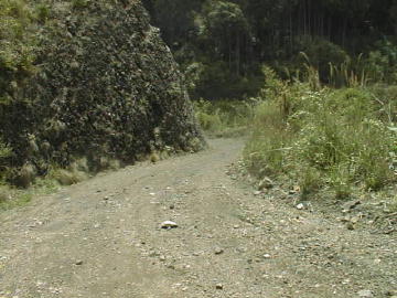 猿押林道・奥栗一谷林道