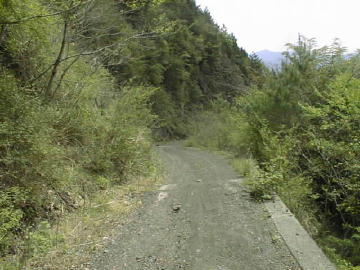 猿押林道・奥栗一谷林道