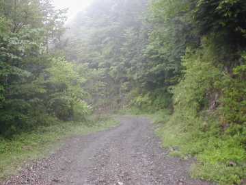 四万十川の源流