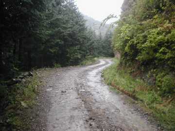 四万十川の源流