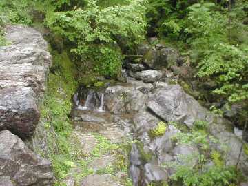 四万十川の源流