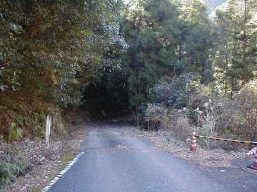 清水東津野林道