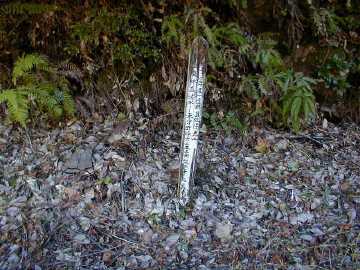 清水東津野林道