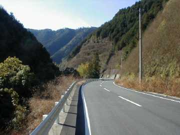 清水東津野林道