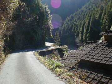 清水東津野林道