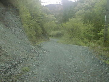 下井桑林道
