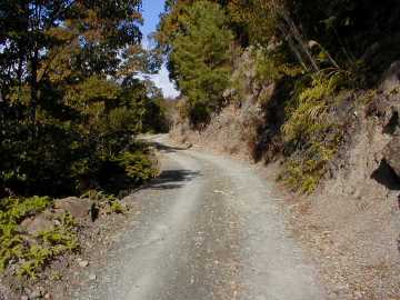 須川林道